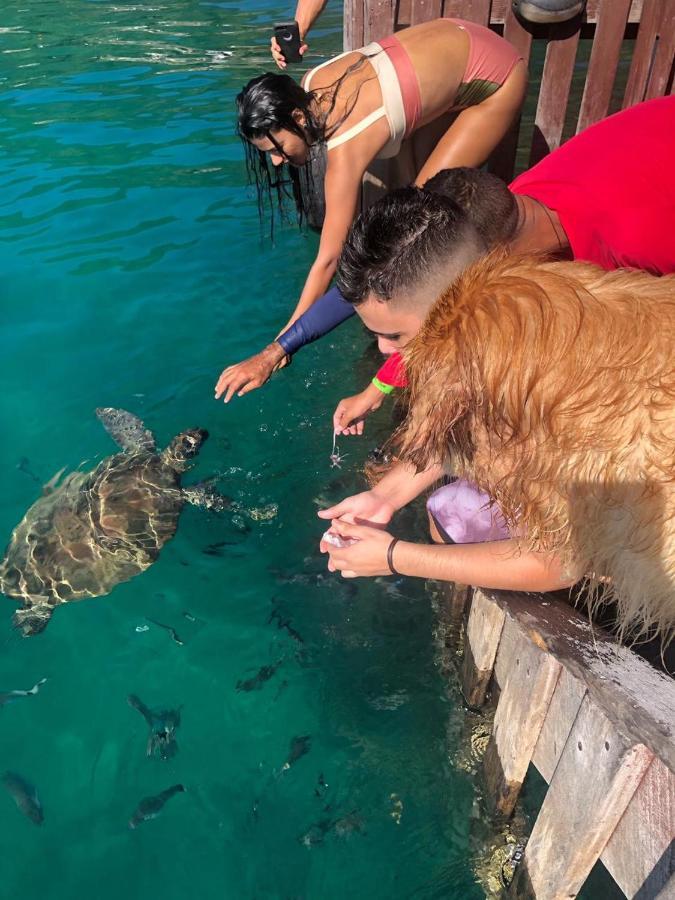 Pousada Conves - Ilha Grande Praia de Araçatiba Eksteriør billede